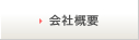 ЊTv